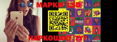 индика Беслан