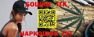 индика Беслан