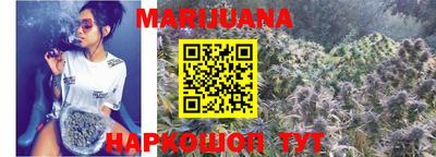 индика Беслан