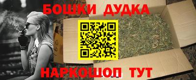 тгк Бийск
