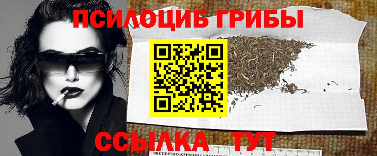 Псилоцибиновые грибы мухоморы Заводоуковск